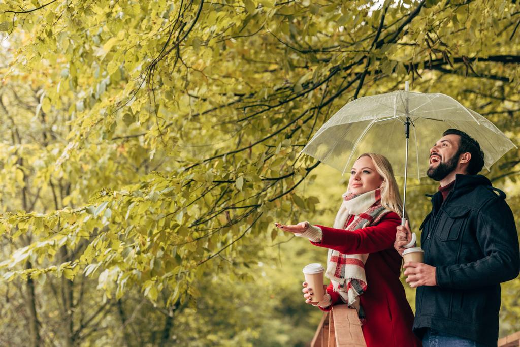 пара з парасолькою в осінньому парку
 - Фото, зображення