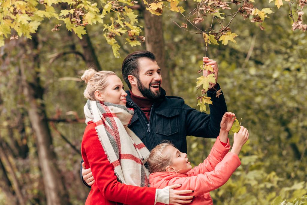 family holding autumn leaves in park  - Photo, Image