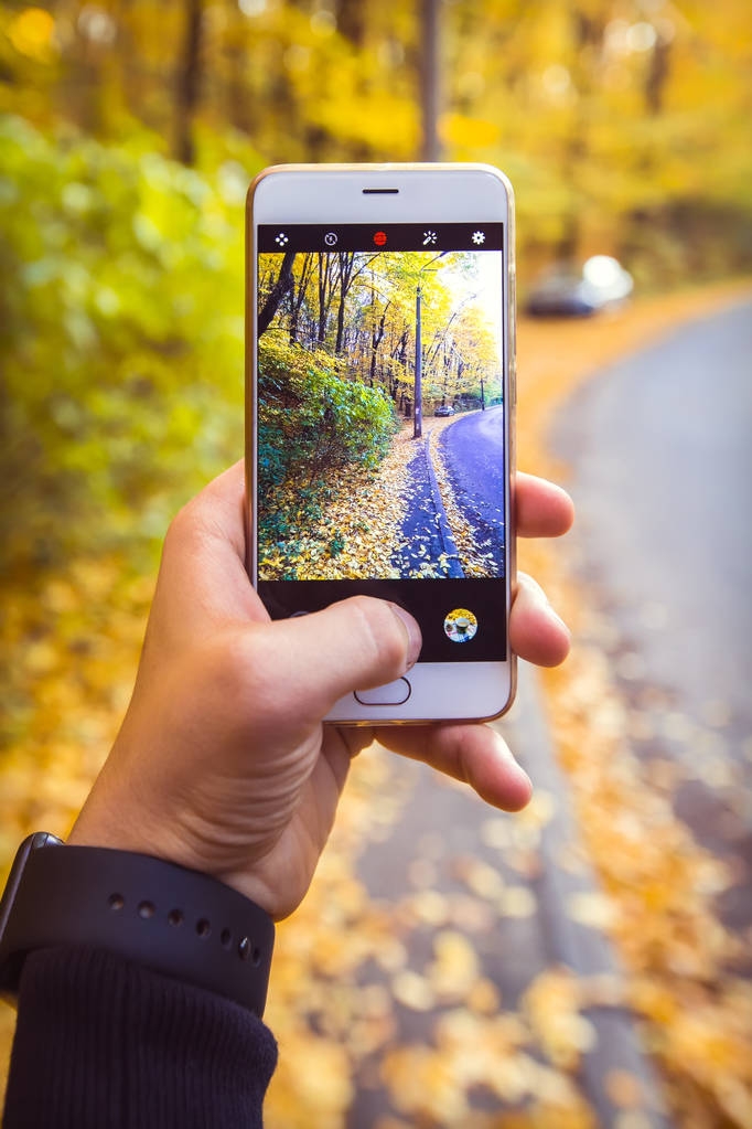 Muž fotografoval žluté listí v lese na podzim s telefonem - Fotografie, Obrázek