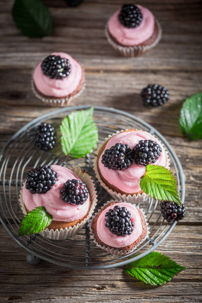 Σπιτικό blackberry cupcake από κρέμα και φρούτα - Φωτογραφία, εικόνα