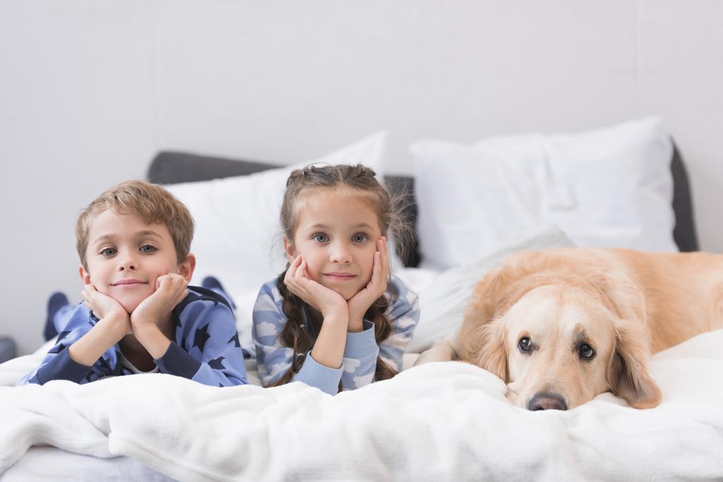 lapset makaavat sängyssä koiran kanssa
 - Valokuva, kuva