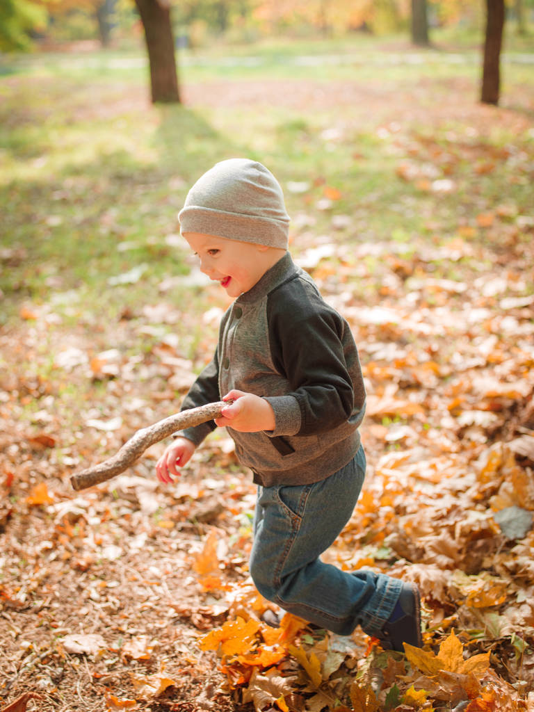 A boy runs in the park in the fall - Photo, Image