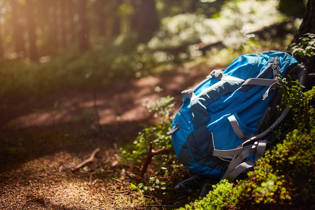 mochila turística en el bosque de verano
 - Foto, imagen