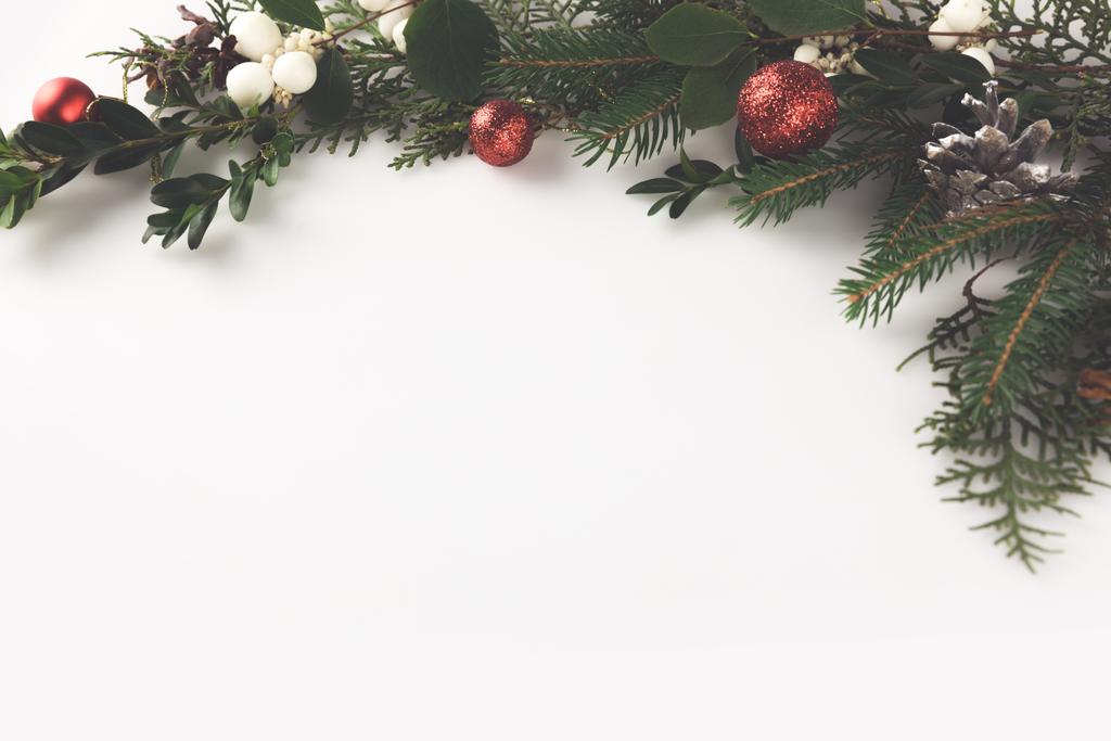christmas fir branch - Photo, Image