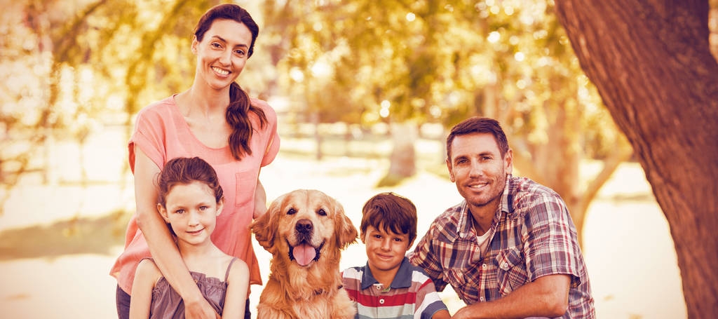 晴れた日に公園で犬連れのご家族 - 写真・画像