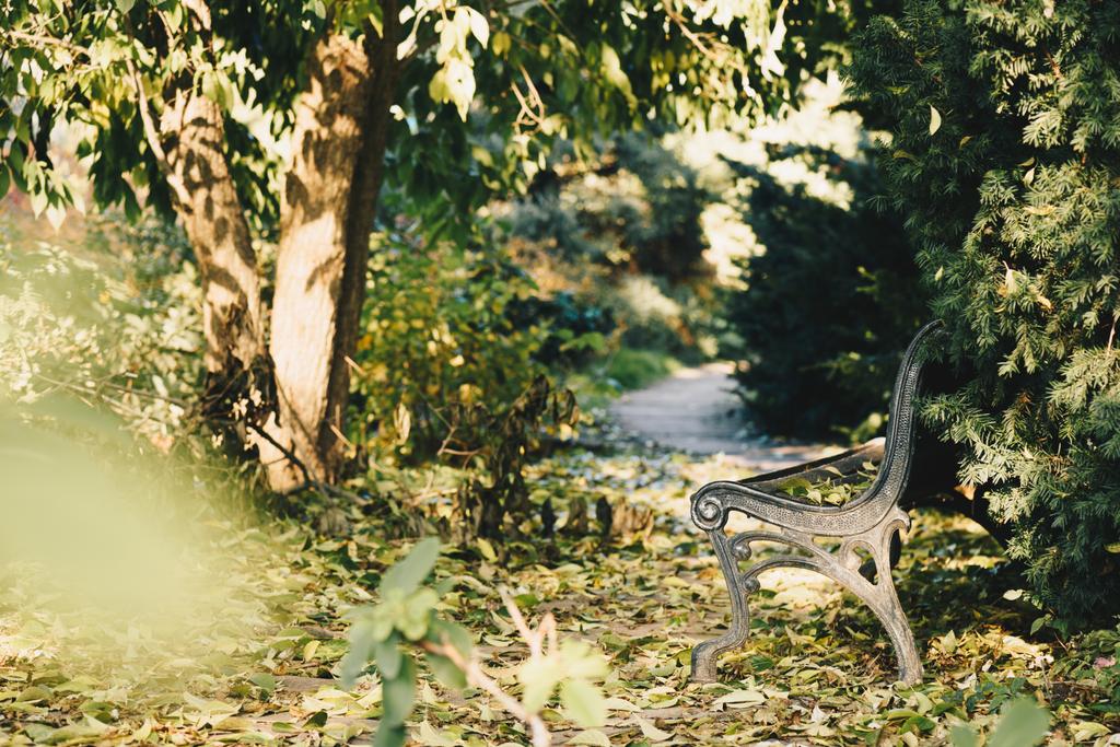 Lavička v podzimním parku - Fotografie, Obrázek
