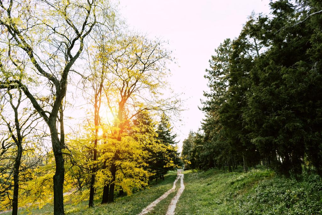 Sentier pédestre dans le parc d'automne
 - Photo, image