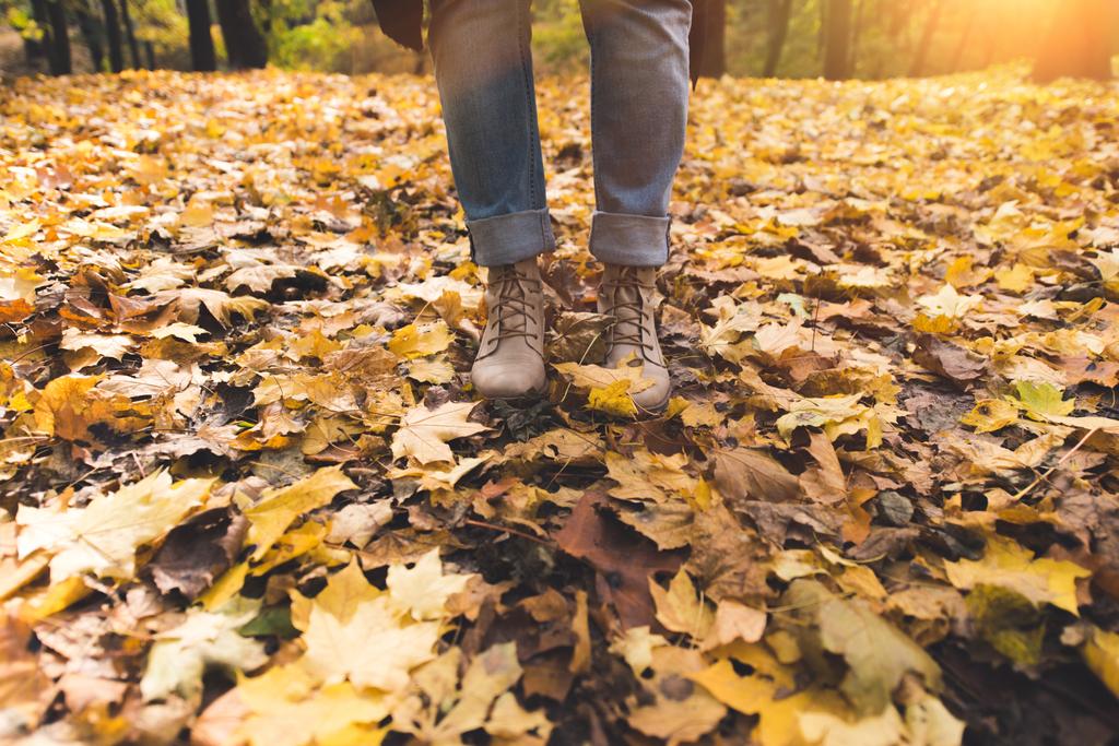 Persona de pie sobre hojas caídas
 - Foto, imagen