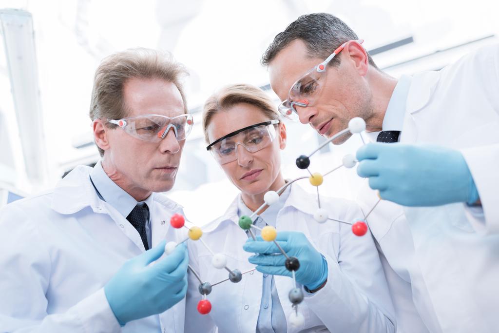 Ärzte untersuchen molekulares Modell - Foto, Bild