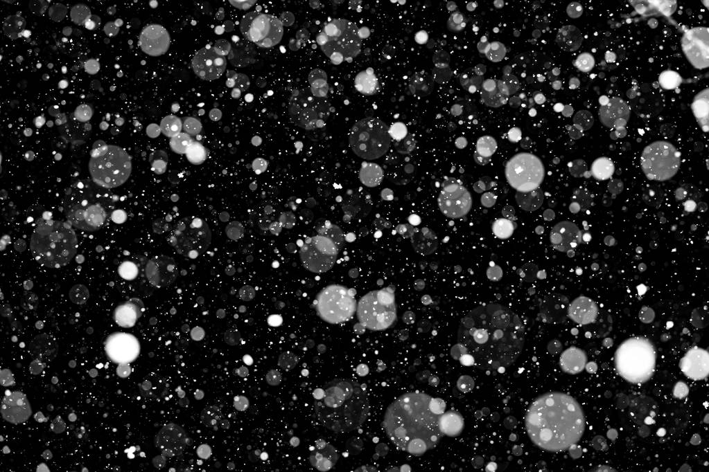 fallender Schnee auf schwarzem Hintergrund. - Foto, Bild