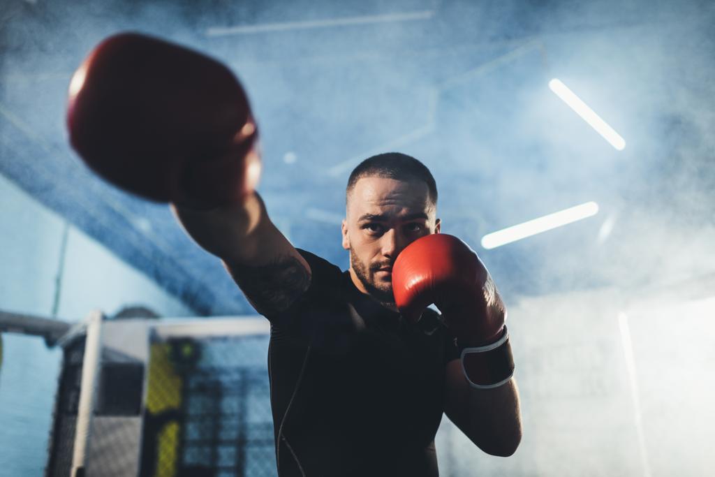 мускулистый спортсмен в боксёрских перчатках
 - Фото, изображение