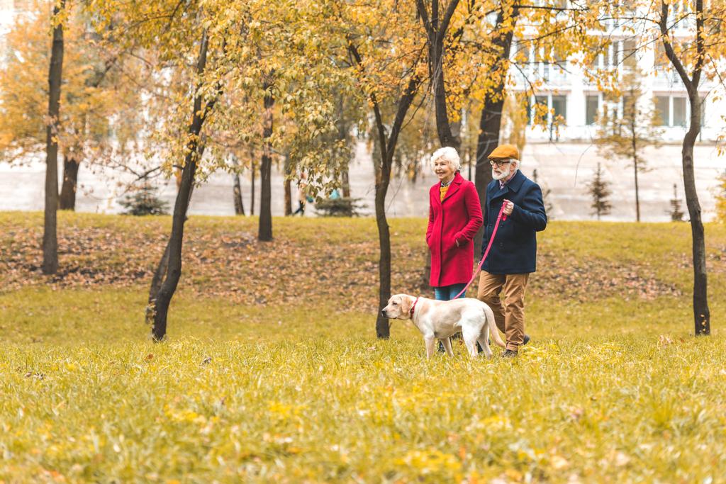 Seniorenpaar mit Hund im Herbstpark  - Foto, Bild