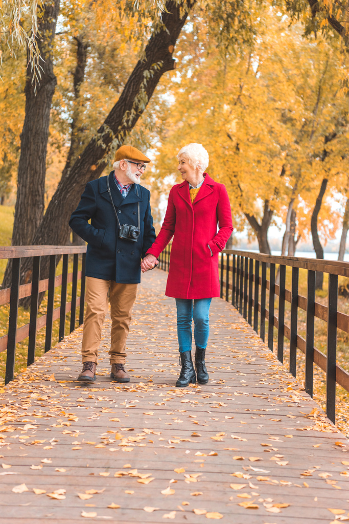 Sonbahar parkında yürüyen yaşlı çift. - Fotoğraf, Görsel