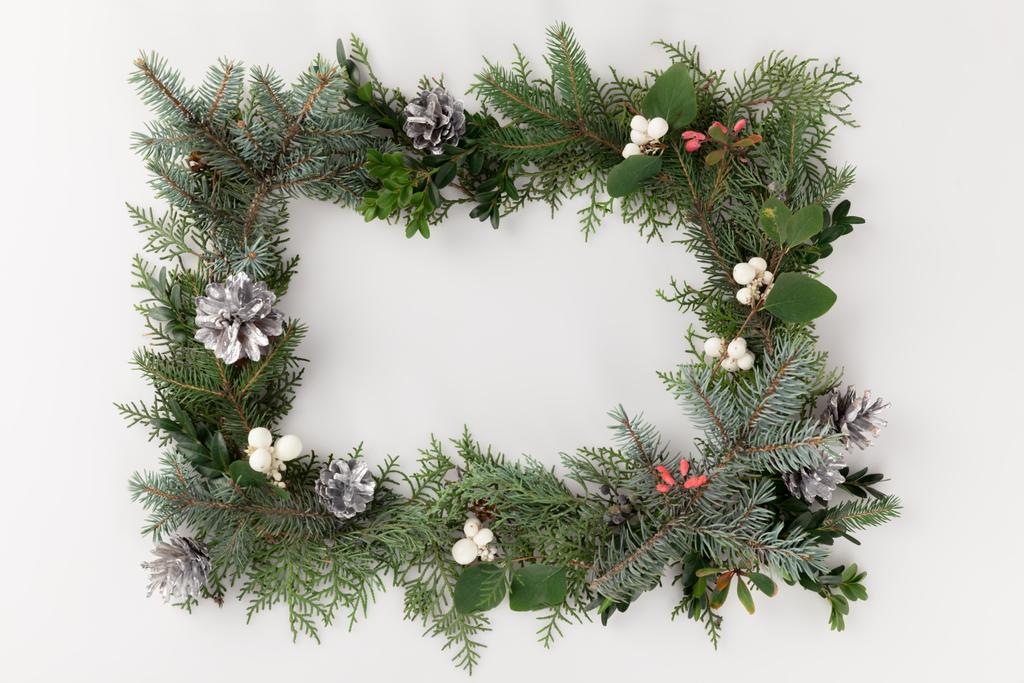 Kerst frame met Maretak en pine kegels - Foto, afbeelding