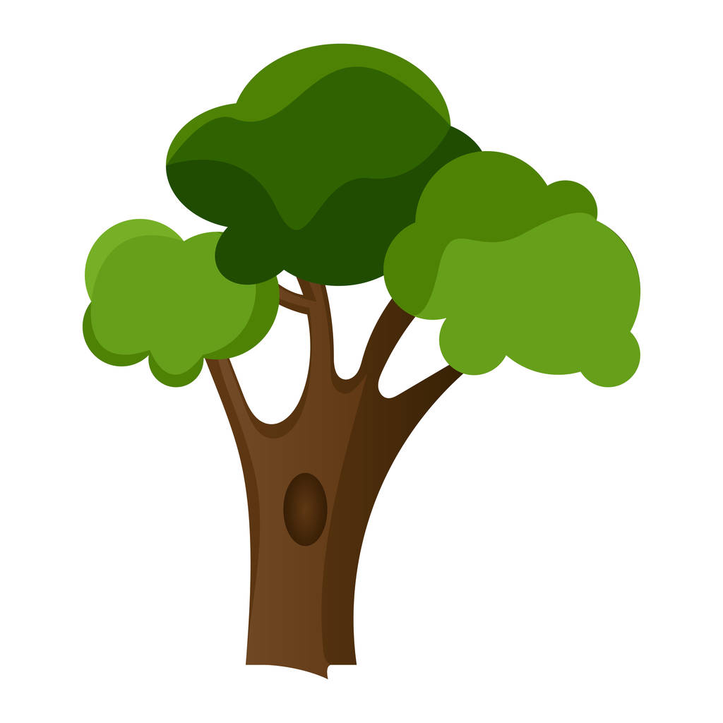 Isolated tree illustration - Vector, Image