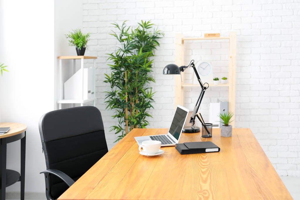 Comfortable workplace in light room - Photo, Image