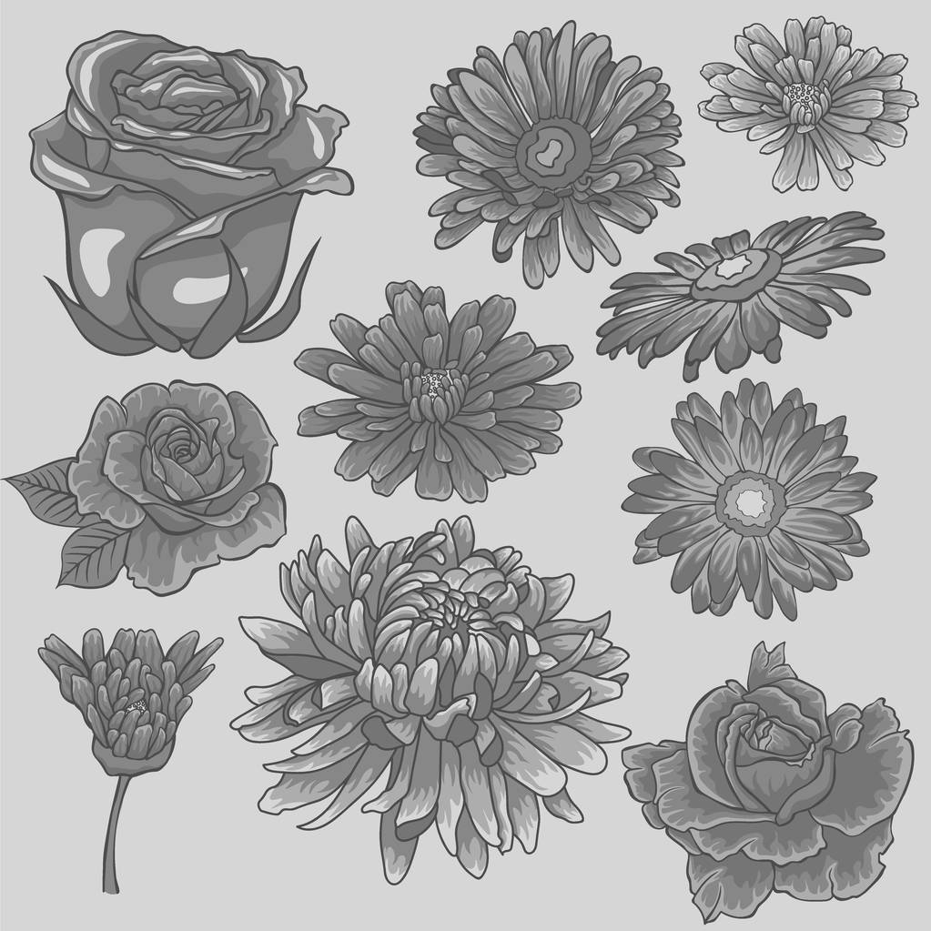 Gray flower set. Isolated monochrome flowers - Vector, Image
