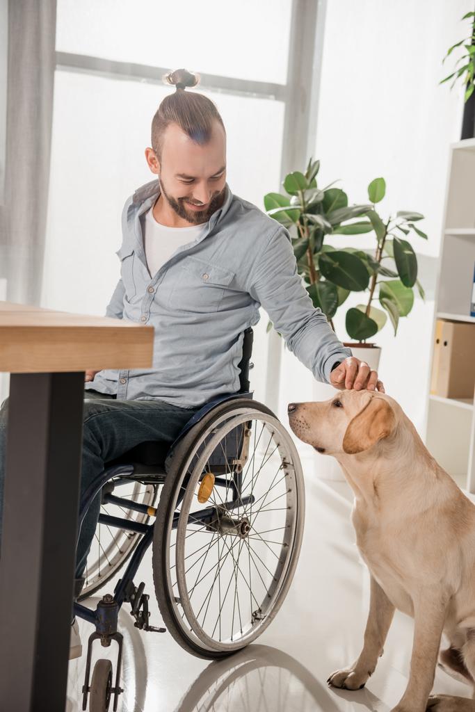 Adam köpeğini sevişme tekerlekli sandalye üzerinde - Fotoğraf, Görsel