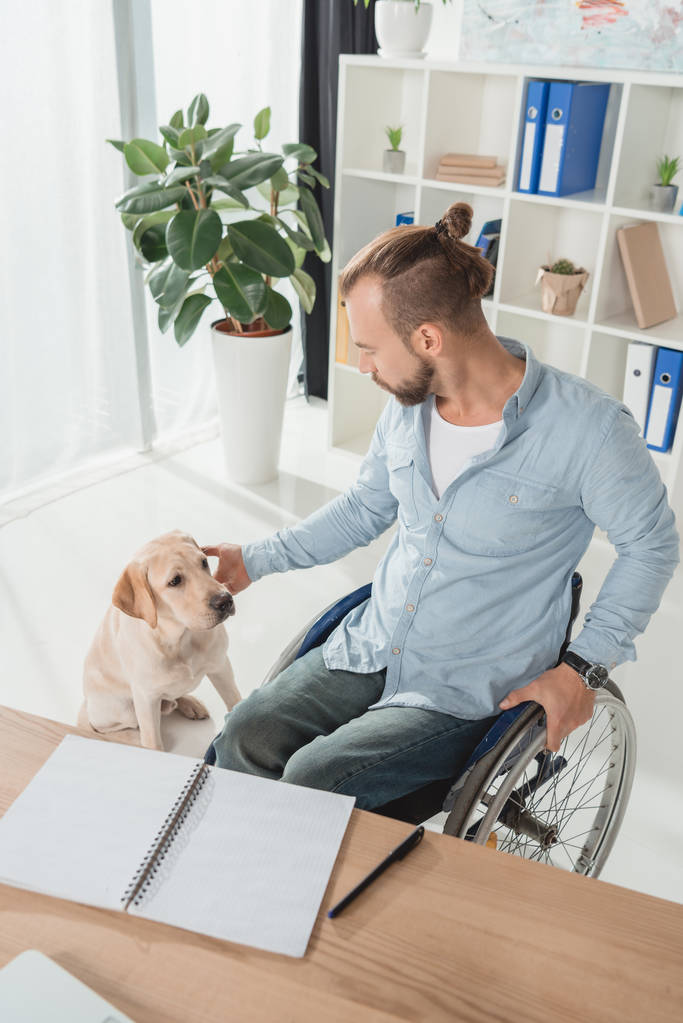człowiek na wózku inwalidzkim pieszczoty jego pies - Zdjęcie, obraz