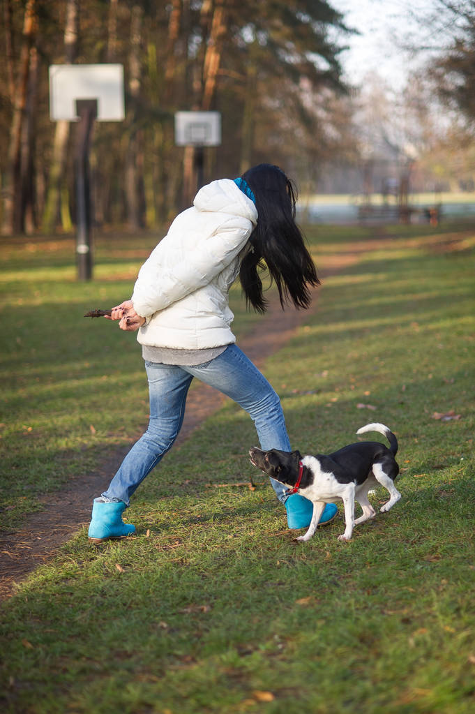 Jeune femme entraîne le chien dans le parc d'automne
. - Photo, image