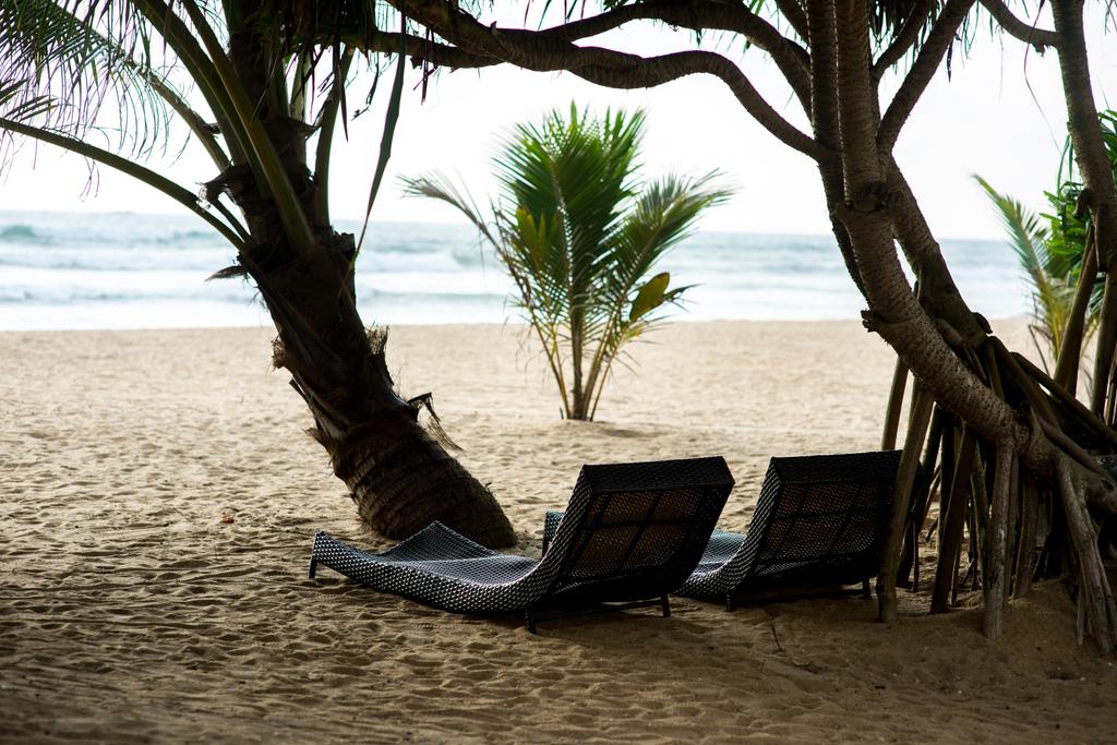 espreguiçadeiras sob árvores tropicais
 - Foto, Imagem