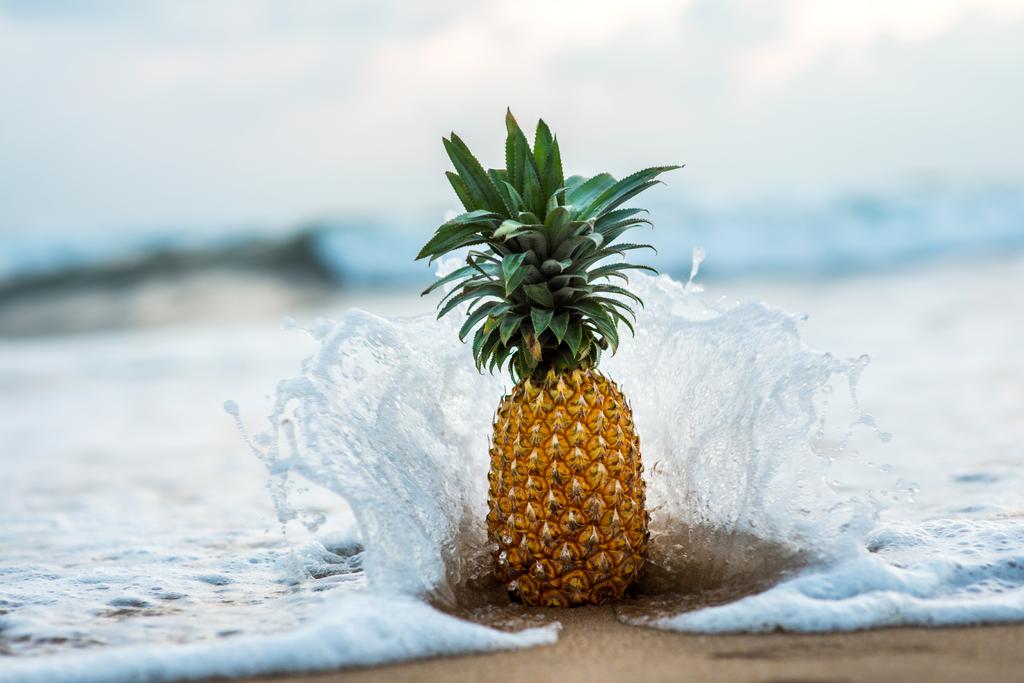ananas stojąc na brzegu morza - Zdjęcie, obraz