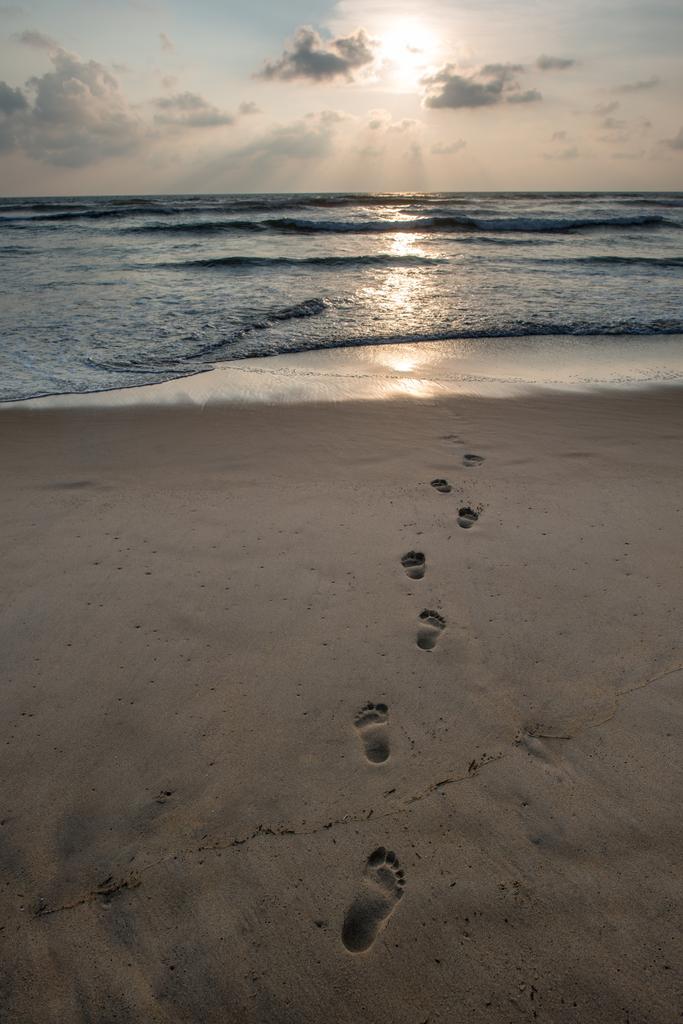 footsteps on sandy beach - Photo, Image