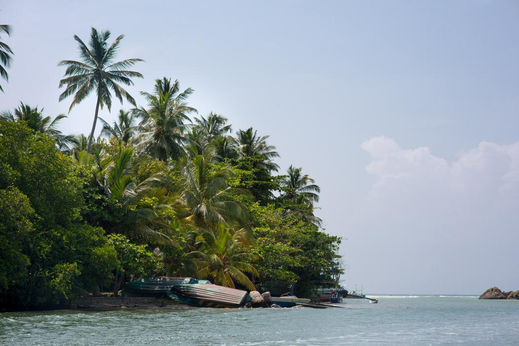 tropisch eiland - Foto, afbeelding