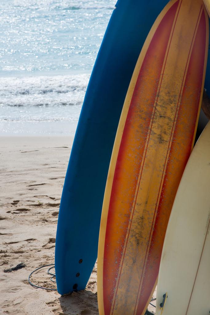 deski surfingowe, stojących w rzędzie na plaży - Zdjęcie, obraz