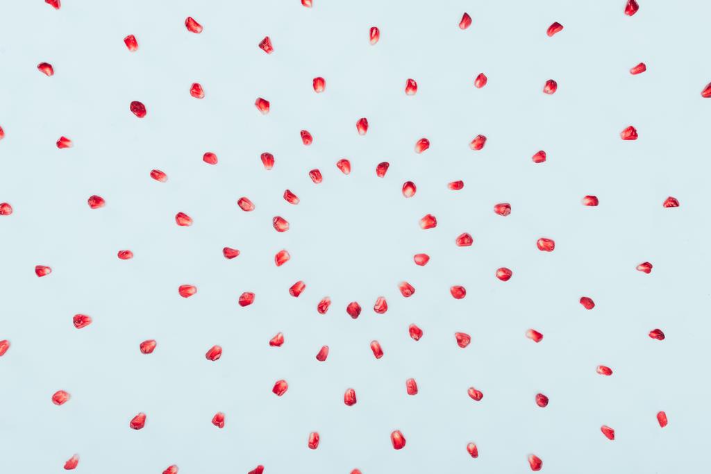 granaatappel zaden in cirkels - Foto, afbeelding