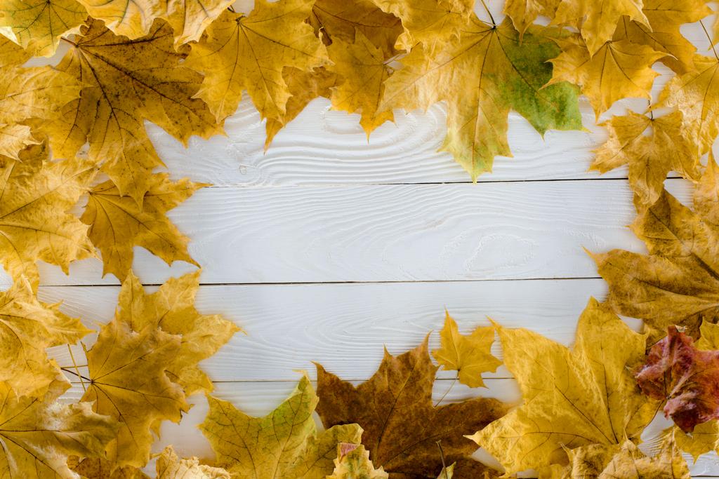 кленове листя на дерев'яній поверхні
  - Фото, зображення
