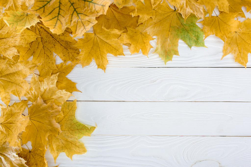 esdoorn bladeren op houten oppervlak  - Foto, afbeelding