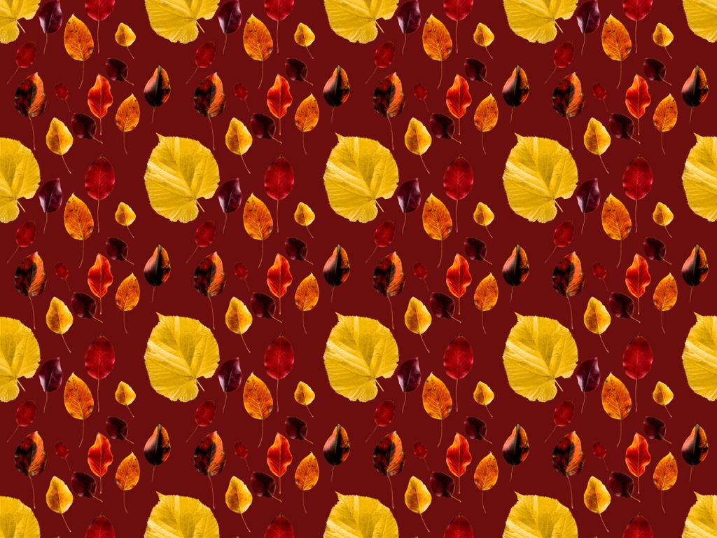 Kolekcja Jesień kolorowy liść - Zdjęcie, obraz