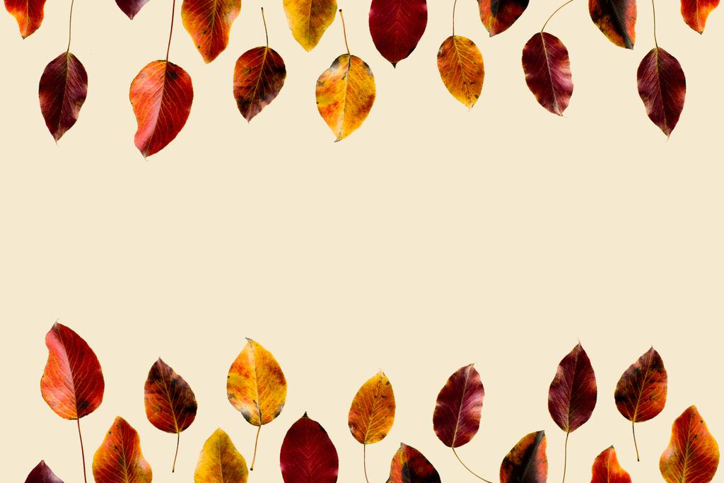 gekleurde Herfstbladeren - Foto, afbeelding