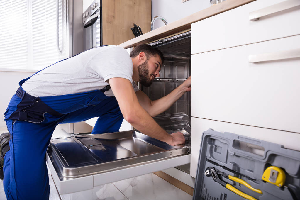 Technicien Réparation Lave-vaisselle
  - Photo, image