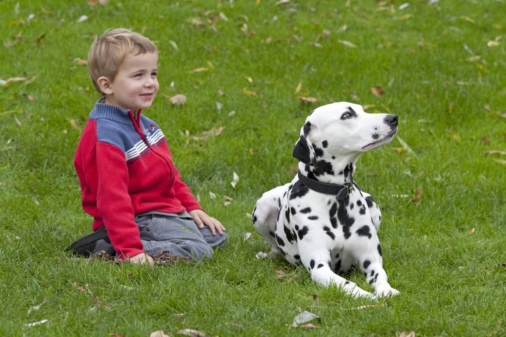 Kleine jongen met Dalmatische - Foto, afbeelding