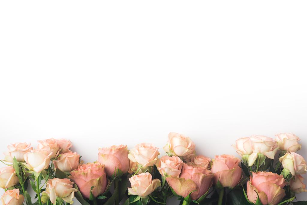 roze roze bloemen - Foto, afbeelding
