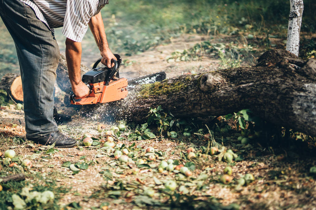 Gövde kesici, odun ve kereste dilimleme. Forester kesme günlükleri - Fotoğraf, Görsel