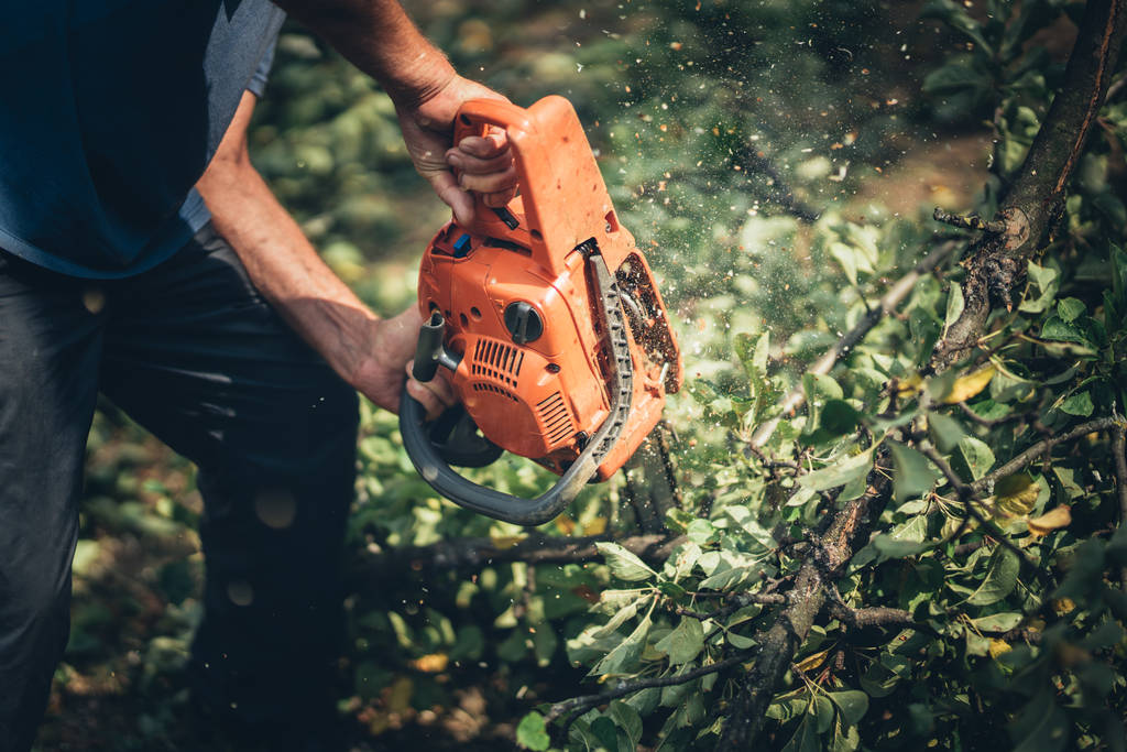 Favágó férfi dolgozó darabolás tűzifa erdő egy professzionális chainsa - Fotó, kép