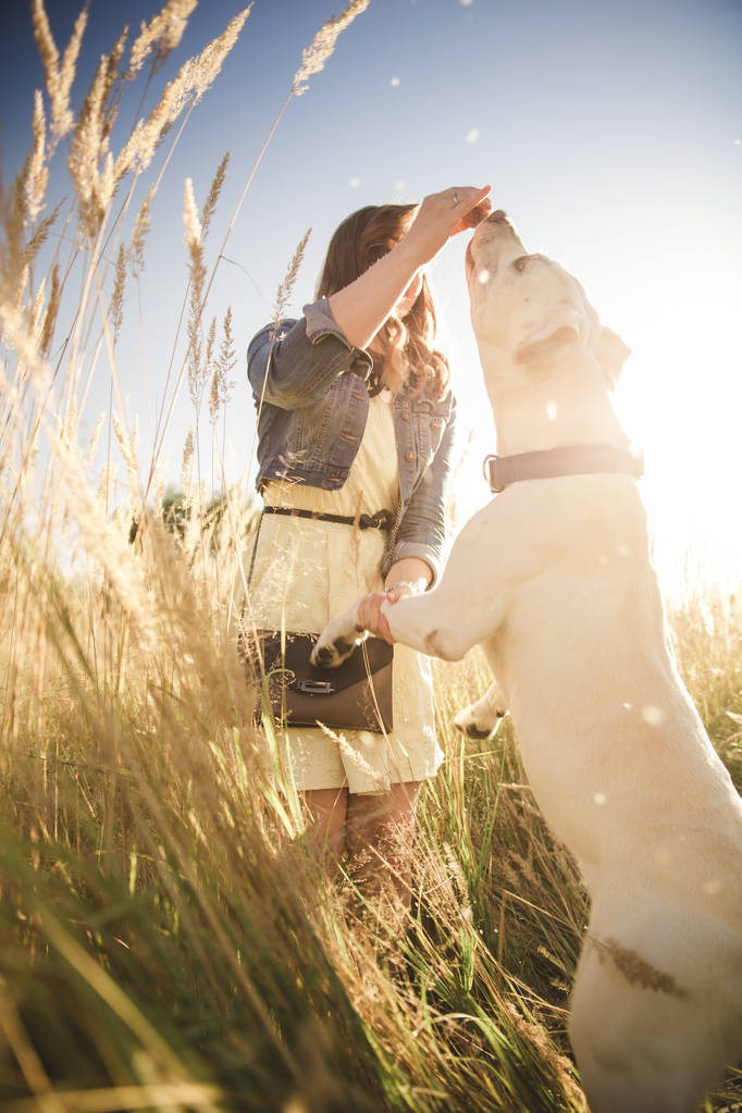 ein weißer Labrador-Hund spielt mit einem schönen Mädchen  - Foto, Bild
