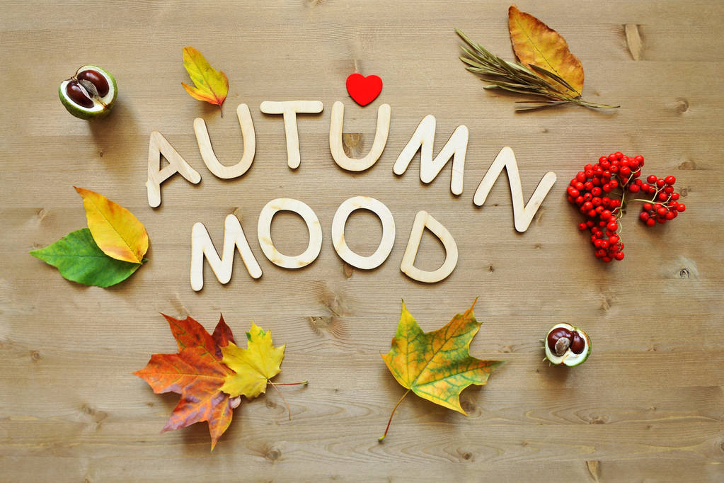 autumn mood background - Photo, Image