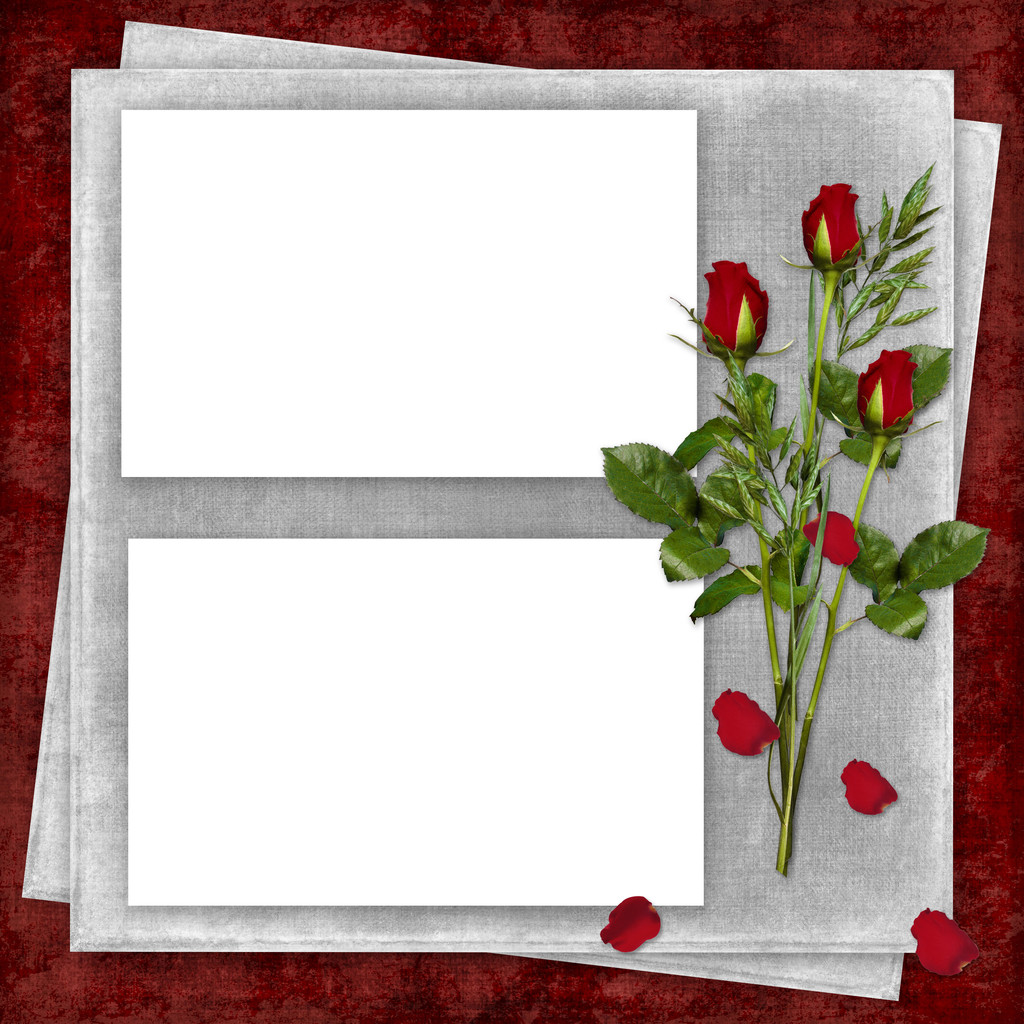 karta na wakacje z czerwona róża - Zdjęcie, obraz