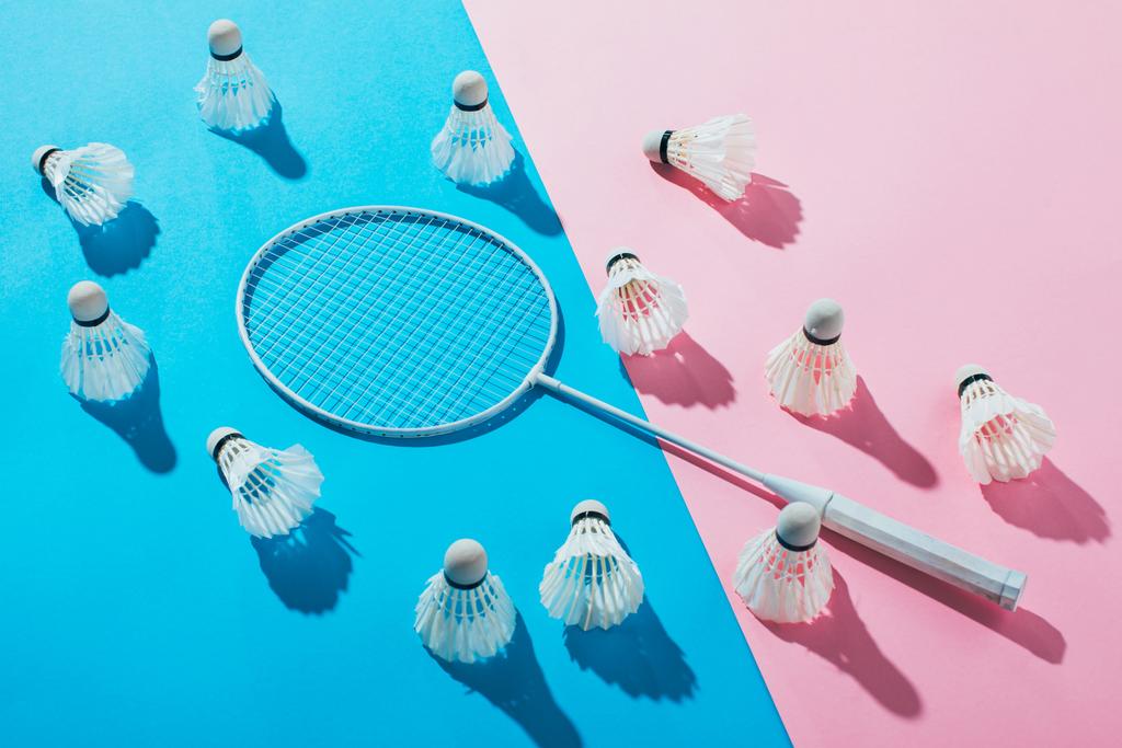shuttles rond badminton racket op blauwe en roze papieren - Foto, afbeelding