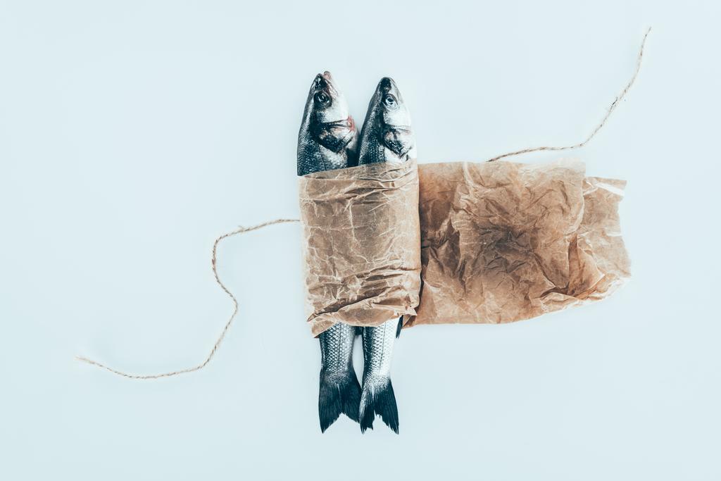 Nahaufnahme von köstlichen gesunden Fischen in Papier mit Seil isoliert auf grau - Foto, Bild