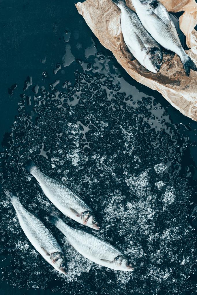 bovenaanzicht van gezonde ongekookt zeebaars vissen met ijs en zalm op papier op zwart  - Foto, afbeelding