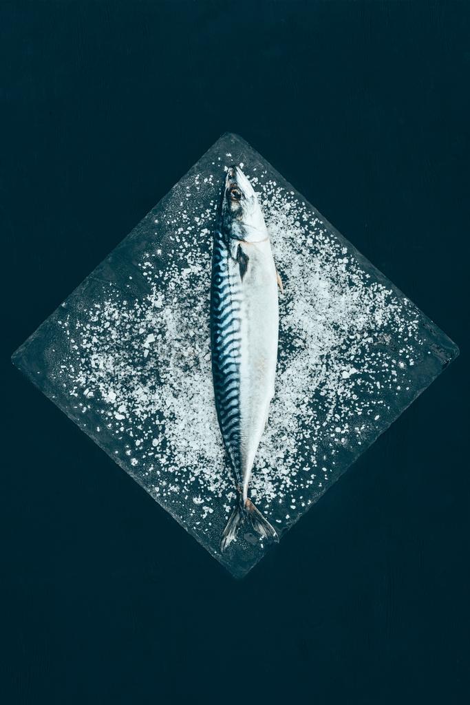 Ansicht von frischer Makrele auf Schiefertafel isoliert auf Schwarz   - Foto, Bild