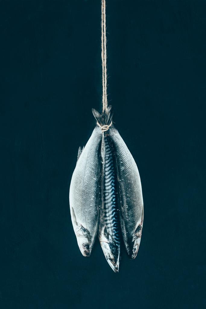 nyers makréla hal lógott a kötél elszigetelt fekete kiadványról - Fotó, kép