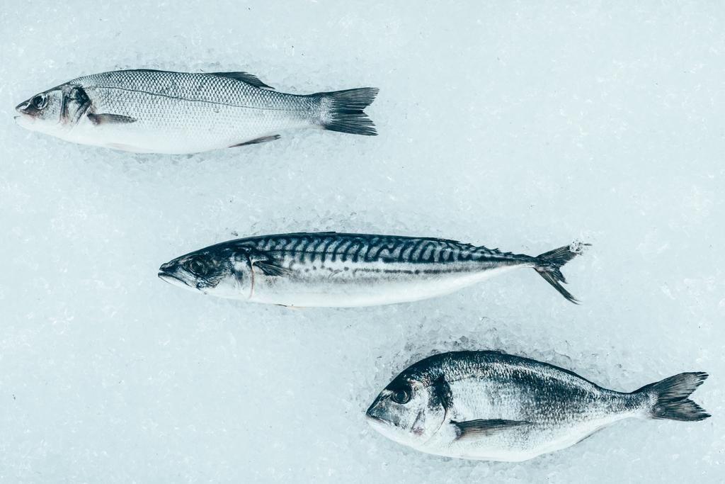 ylhäältä näkymä eri kypsentämättömien terveiden merikalojen jäällä
 - Valokuva, kuva