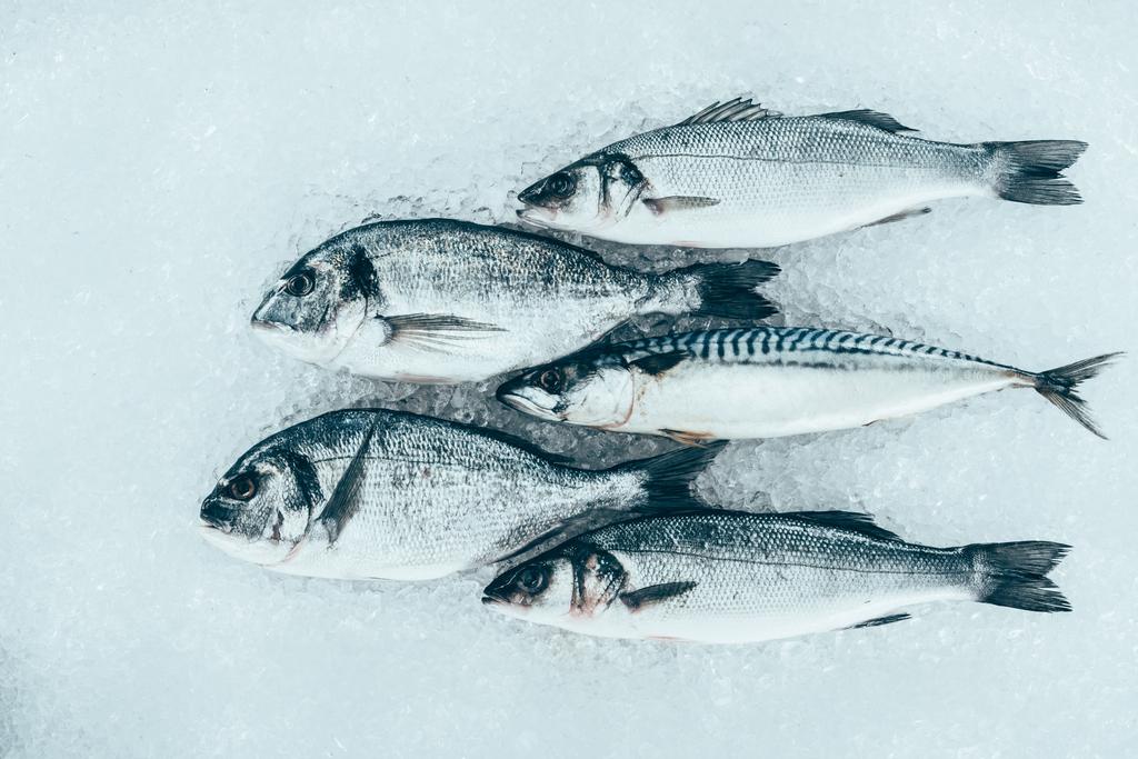 vue rapprochée des fruits de mer frais et gastronomiques non cuits sur glace
  - Photo, image