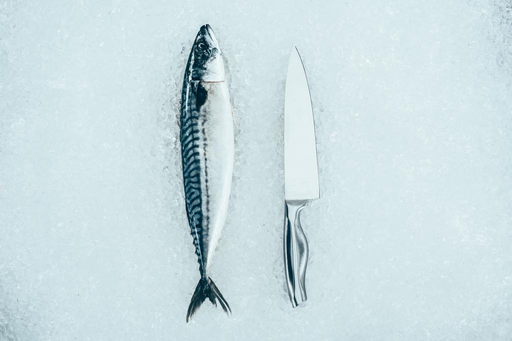 κάτοψη του ακατέργαστου νωπών σκουμπριών ψάρια και μαχαίρι στον πάγο - Φωτογραφία, εικόνα